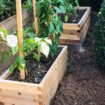 Cedar Planter Box Plans | Discover Raised Garden Bed Ideas in this .