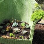 My sedum-planted wicker chair - Slow Flowers Podcast with Debra .