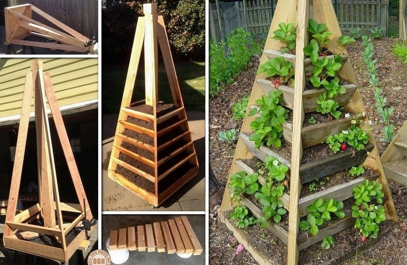 DIY Vertical Pyramid Tower Garden Plant