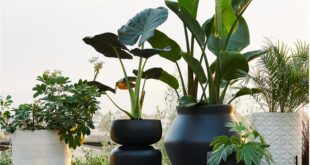 Outdoor Planters, Pots & Garden Tools for the Patio | Crate & Barr