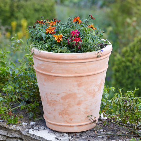 A Handy Guide to Our Plant Pot Sizes | Gardenesq