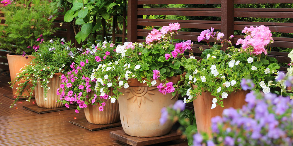A How-To Guide: Prepping Your Pots for Spring Planting | Plant Perfe