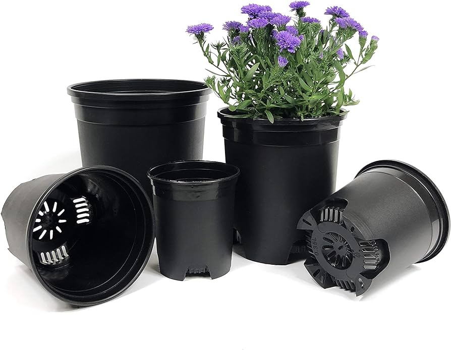 Amazon.com: 10 Pack Plastic Black Plant Pots Nursery Gardening .