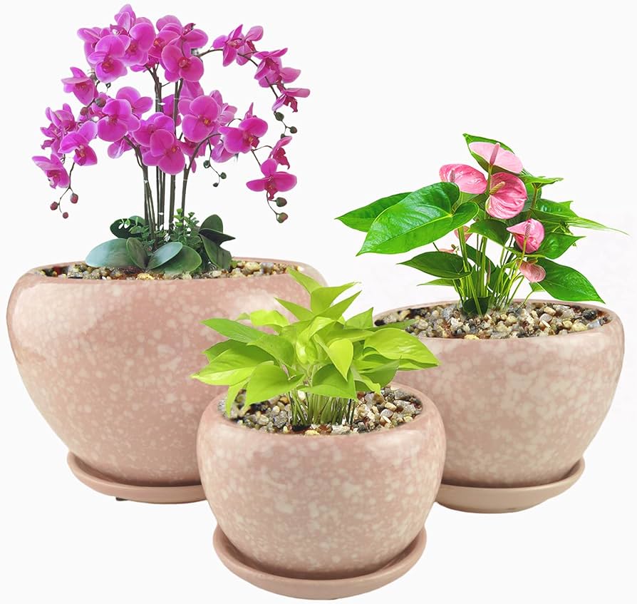 Amazon.com: MeritMode Ceramic Plant Pots Set of 3 -Diameter 4.1+ .