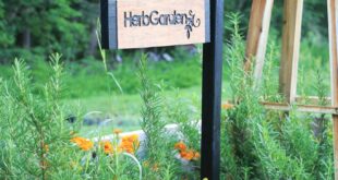 DIY Garden Signs With The Cricut Mak