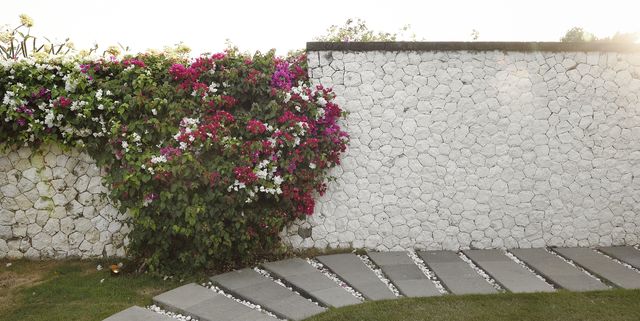 17 Best Garden Wall Ideas - Garden Walls to D