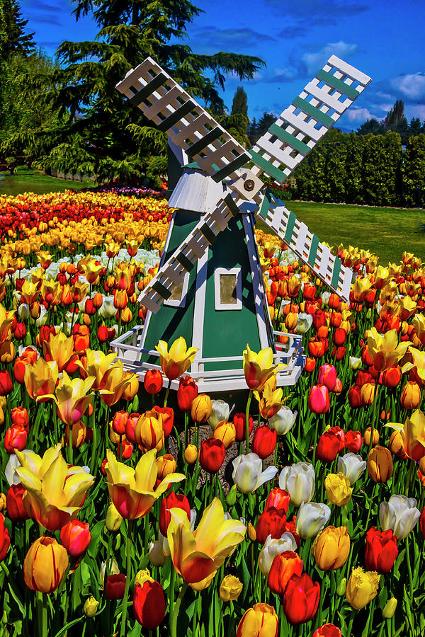 Garden Windmill #1 Photograph by Garry Gay - Pixe