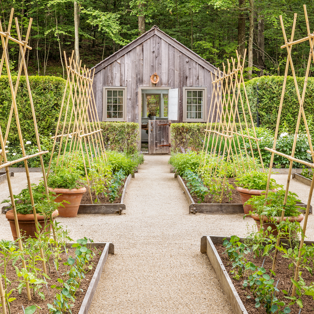 6 Best Ideas for Starting a Herb Garden - Helpful Herb Garden Ti