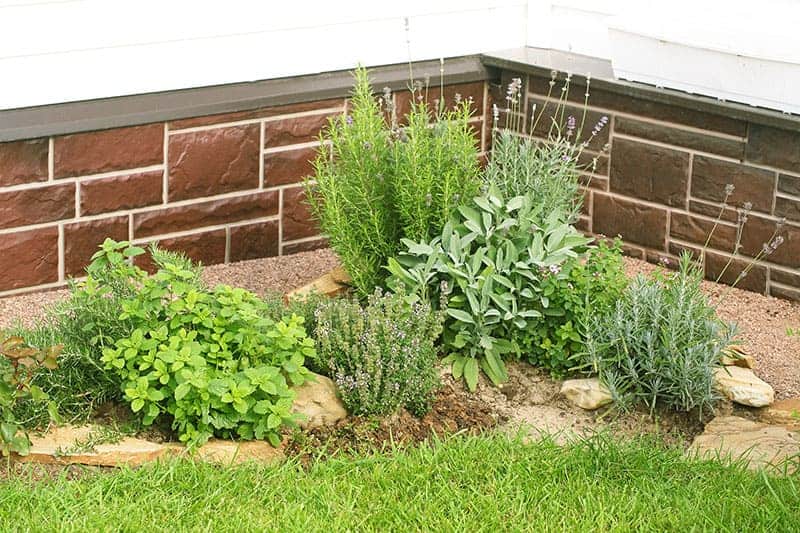 25 Pretty Herb Garden Ideas | Trees.c