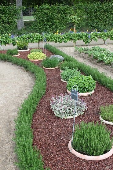 30 Herb Garden Ideas To Spice Up Your Li