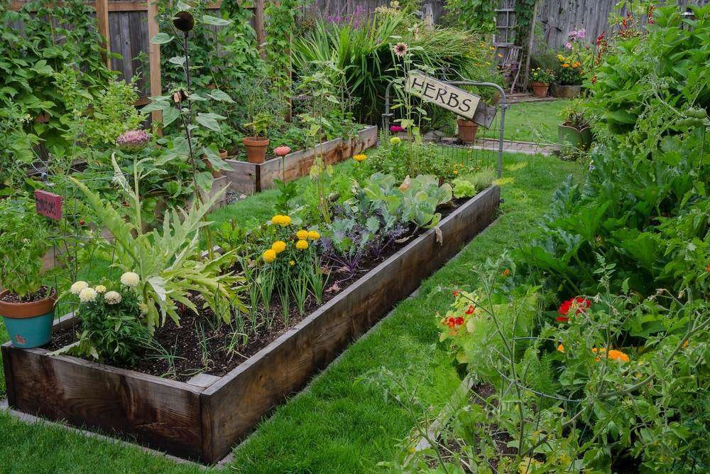 How to create an herb garden in you own backyard | Total Landscape .