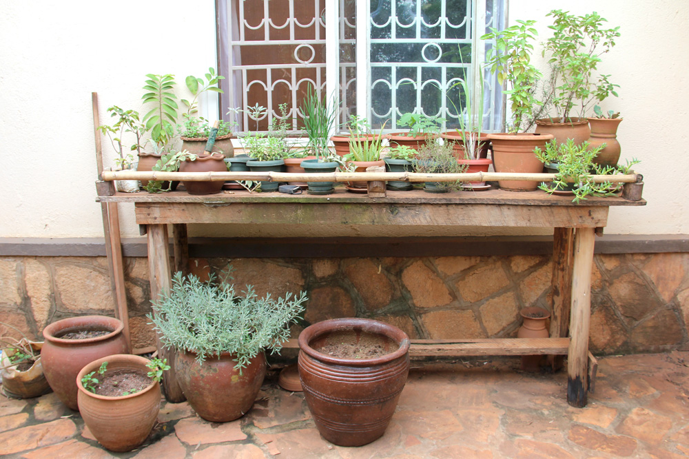 Starting an herb garden — For the Love of Wond