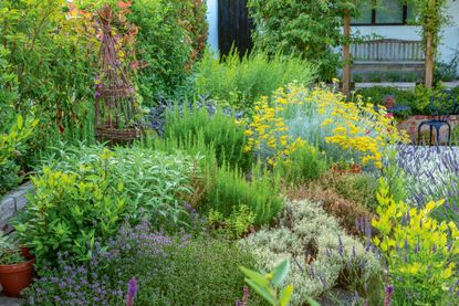 5 most common herb gardening mistakes –and how to avoid them .