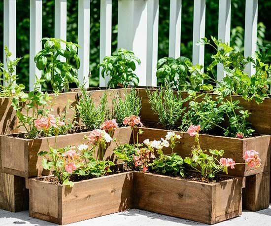 DIY Herb Gardens for Every Spa