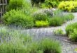 How to Create a Herb Garden | BBC Gardeners World Magazi