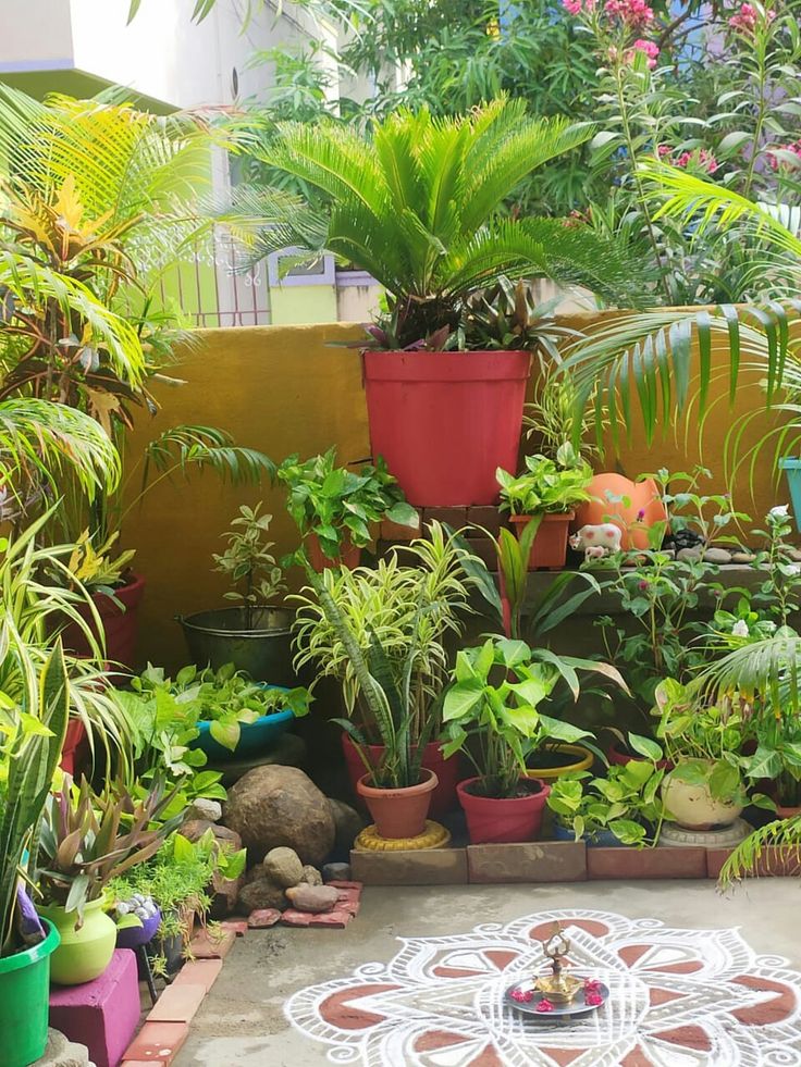 Rathna's home gardening ideas. Simple gardening tips. DIY home .
