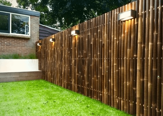 Cheap Privacy Fence Ideas to Fit Every Budget! : r/TrendingInteri