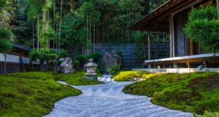 Zen Garden Ideas: How to Create Your Own Zen Garden | Garden Desi