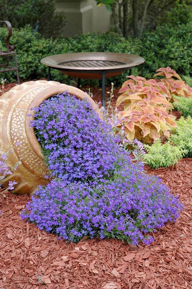 75 Landscaping Ideas You'll Love - May, 2024 | Hou