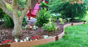 Best Landscape Edging for Your Yard - The Home Dep