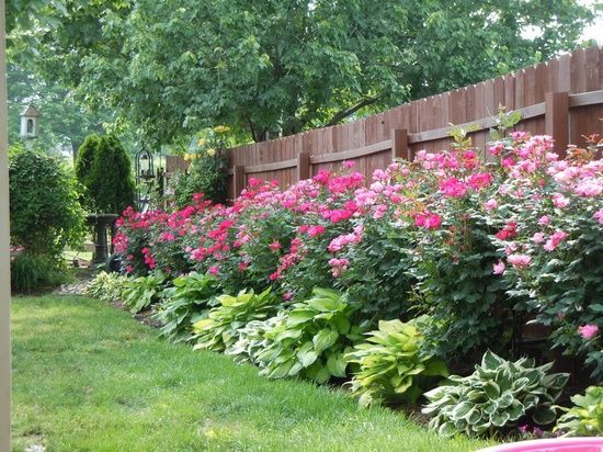 home rose garden - Google Search | Backyard landscaping designs .