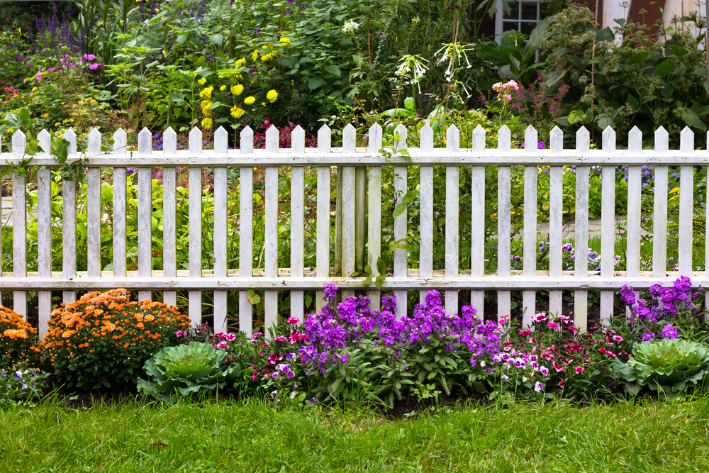 5 Ways to Landscape Along Your Fence | Fence Speciali