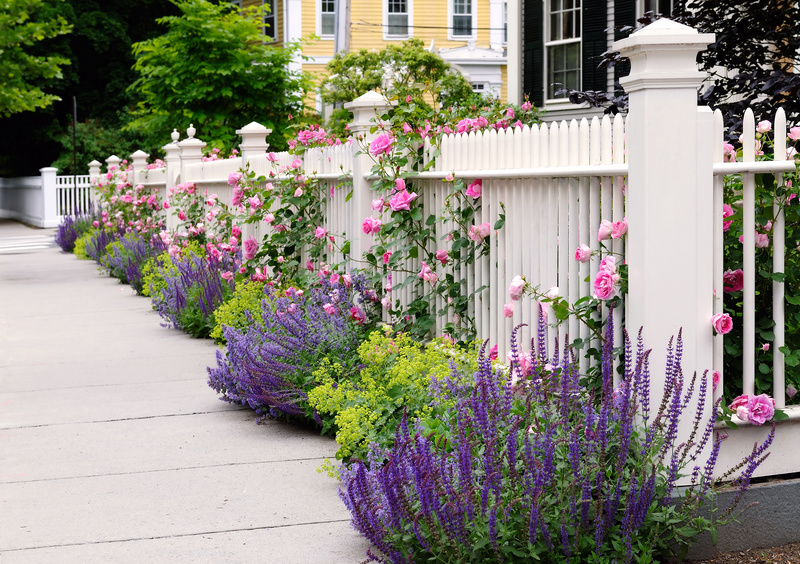 How and Why You Should Landscape Around Your Fencing - Arborist N