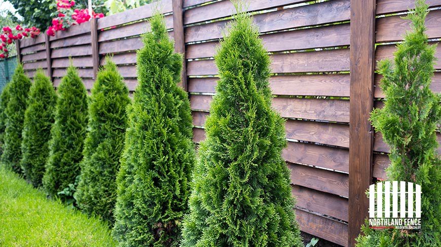 Fence Landscaping - Northland Fen