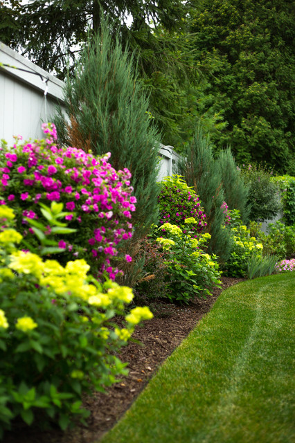 Planting Along Fence - Landscape - Other - by Miller Creek Lawn .