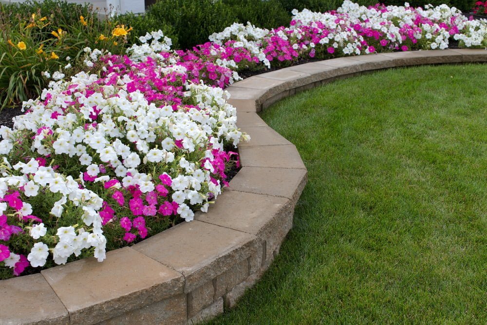 How to Design the Landscape Border of Your Dreams - Millcreek Garde