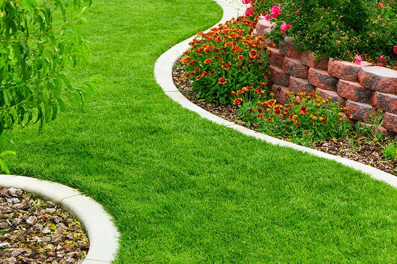 23 Cheap & Amazing Garden Edging Ideas You Can Try | Trees.c