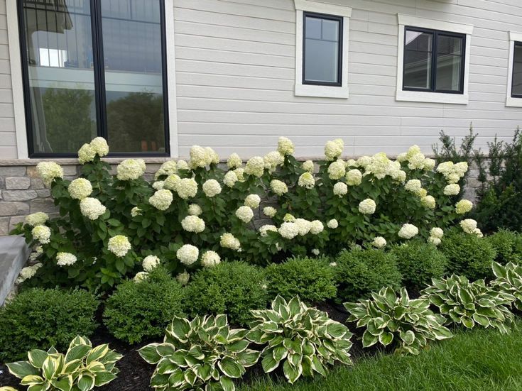 Elegant Front Yard Garden Design with White Hydrange