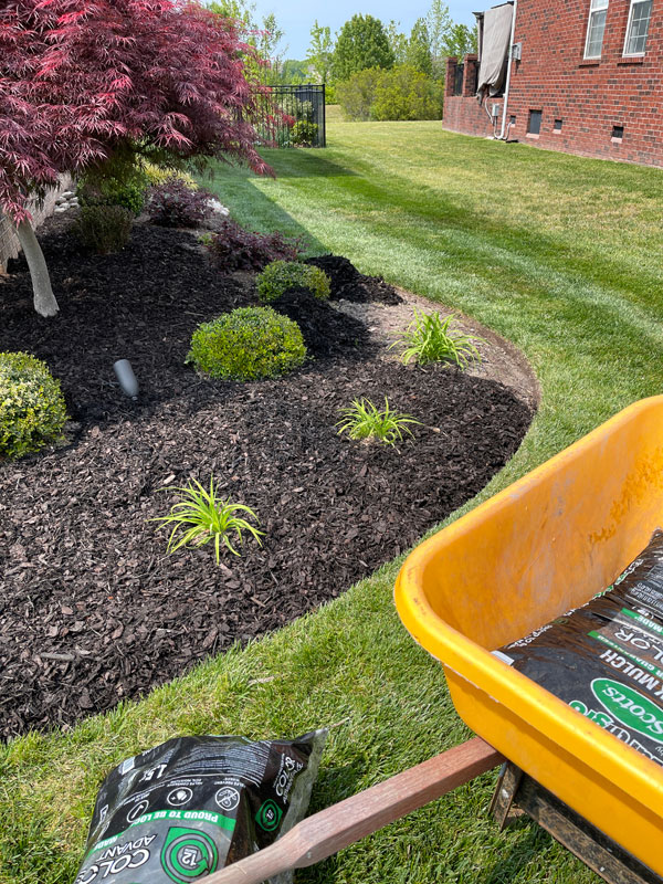 Front Yard Landscaping Update 2022 | Confessions of a Serial Do-it .