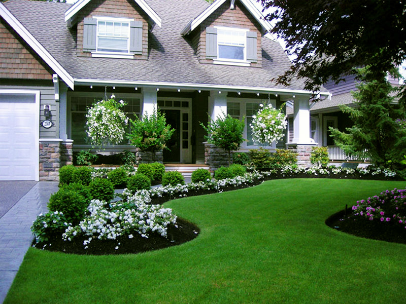6 Tips for Using Black Mulch in Landscaping - homey