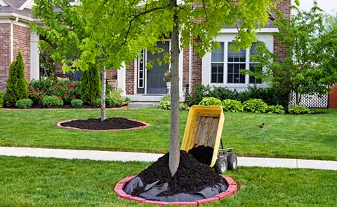 Landscape Ideas to Help Improve The Curb Appeal of Your Home .