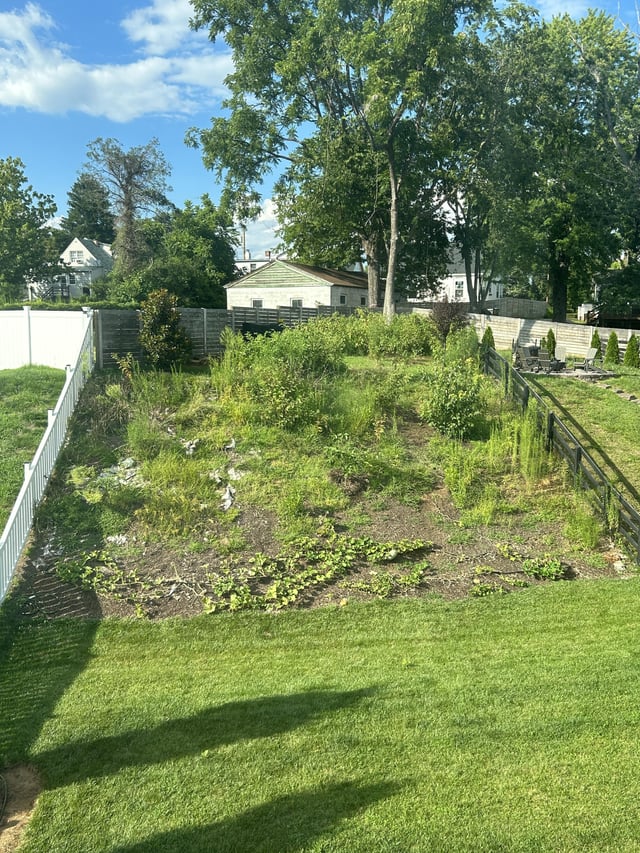Looking for ideas to landscape our steep hill : r/landscapi
