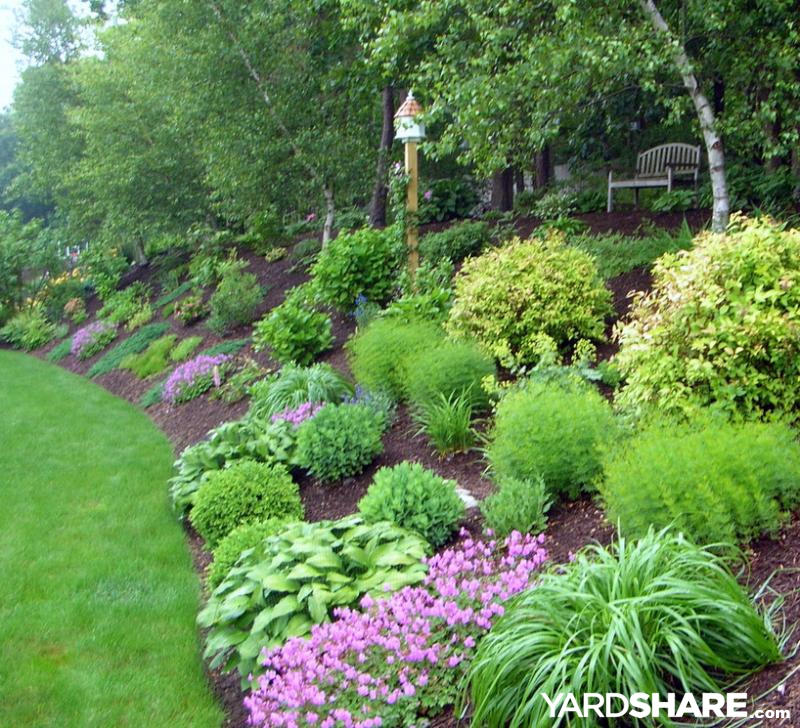 Landscaping Ideas > The Challenge of a Hill . . . | YardShare.c