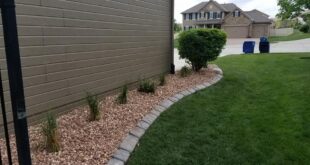 Side yard landscaping - Above & Beyond C
