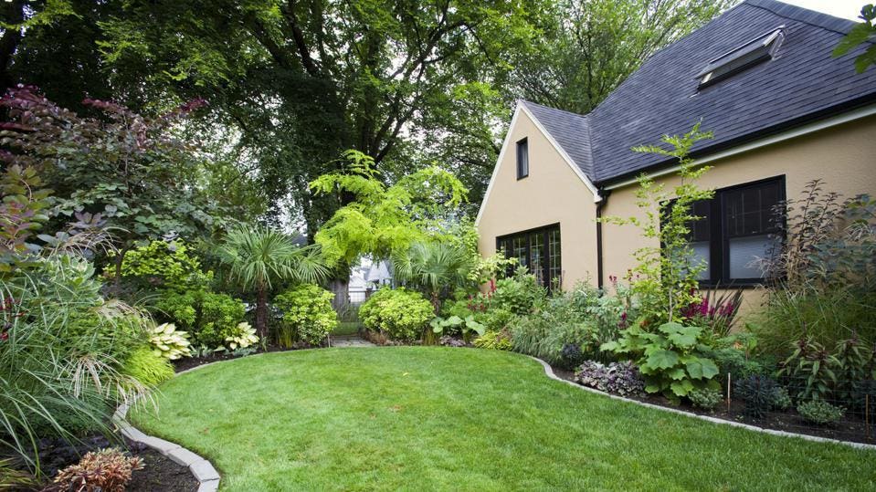 Landscaping Ideas For Privacy – Forbes Ho