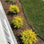 Quick & Easy Landscaping Updates | Young House Lo