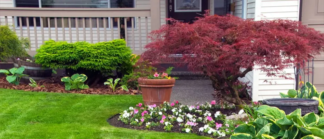 Landscaping Tips for a Small Front Yard | LeafFilt
