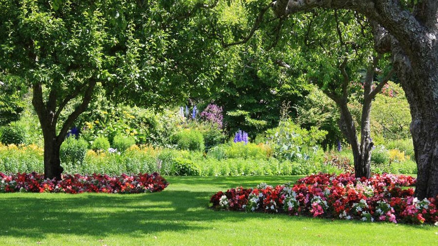 Tips And Ideas For Landscaping Around And Under Trees – Forbes Ho