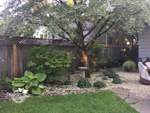 Tips for Planting Under Mature Trees - Landscape Design In A D