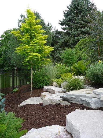 Stunning Rock Landscaping Ideas for Your Gard