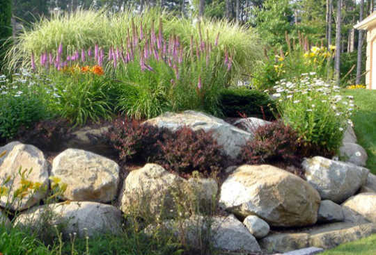 Top 10 Tips for Using Boulders to Improve Your Landscape Design .