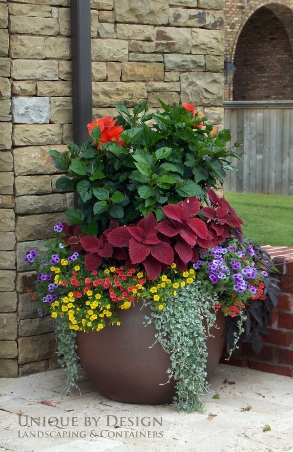 Garden Containers for Colorful Flowe