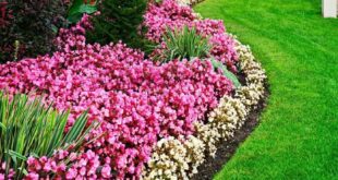 3 Landscape Edging Ideas To Keep Weeds and Grass Out Of Your Gard