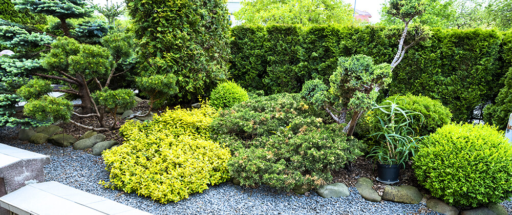 7 Low-Maintenance Landscaping Ideas- Meyer Landsca