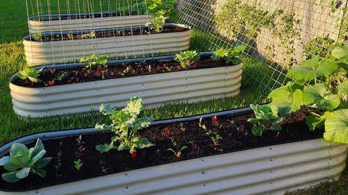 Metal Raised Garden Beds Vs Wood Raised Garden Beds – Vego Gard