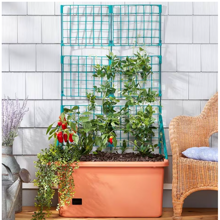 The Lakeside Collection Self Watering Vegetable Planter Box with .